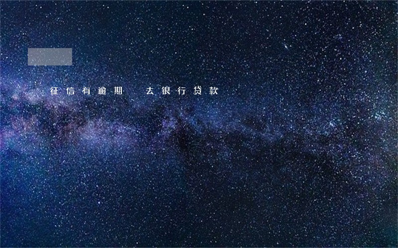 征信有逾期 去银行贷款